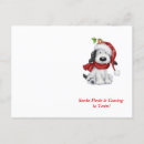 Recherche de chien neige cartes postales Festif