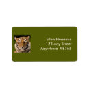 Suche nach sumatran Wildkatzen