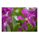 Recherche de singapour posters Attraction