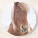 Recherche de cheval islandais dessous de verres Animal