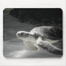 Suche nach schildkröte muschel mousepads Meer