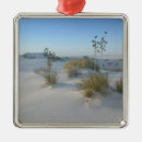 Recherche de sand ornements Nature