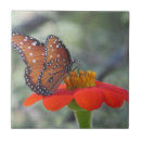Suche nach schmetterlinge fliesen Orange
