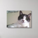 Suche nach niedliche katzenbilder poster Katzenliebhaber