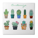 Recherche de plante carreaux Jardinage