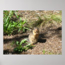 Recherche de de fractale photographie Abstrait