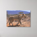 Suche nach kenia leinwandbilder Horizontal