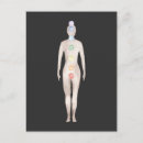 Recherche de chakras cartes postales Méditation