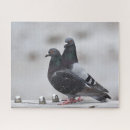 Recherche de pigeon puzzles Animaux