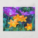 Recherche de beau jardin cartes postales Tulipes