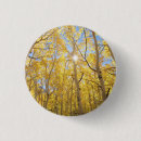 Recherche de résumés badges Coloré