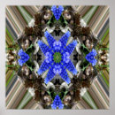 Suche nach blaue hyazinthen poster Quelle