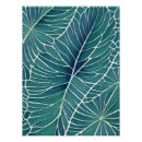 Recherche de feuille verte posters Aquarelle