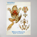 Suche nach vintage biologie poster Wissenschaft