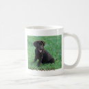 Recherche de calembour tasses Animal familier