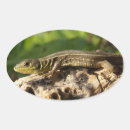 Recherche de lézards autocollants Faune