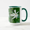 Suche nach gardenia tassen Botanisch