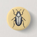 Suche nach käfer buttons Insekten