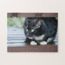 Suche nach black cat puzzle Cats