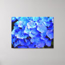 Suche nach hydrangeas leinwandbilder Blau