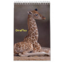 Suche nach giraffen kalender Niedlich