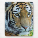 Suche nach sibirisch mousepads Katze