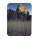 Recherche de plaine magnets Grand