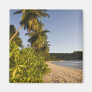 Recherche de seychelles magnete Voyage