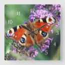 Suche nach peacock wanduhren Nature