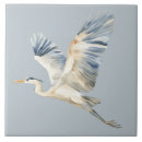 Recherche de oiseau de vol maison deco Nature