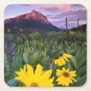 Recherche de foin dessous de verres Paysage