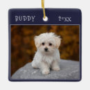 Recherche de pet photo ornements Dogs