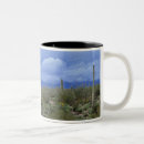 Suche nach saguaro tassen Landschaftlich