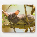Recherche de gallos tapis souris Horizontal