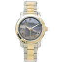 Recherche de femelle montres Canard