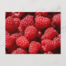 Suche nach rote himbeere postkarten Obst