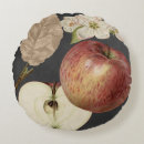 Suche nach ernte kissen Obst