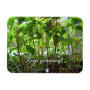 Recherche de graine magnets Jardin