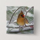 Suche nach norden buttons Schnee