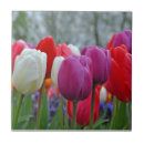 Suche nach tulpe fliesen Quelle