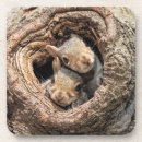 Suche nach baumstämme untersetzer Waldland