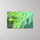 Recherche de le plus frais posters Nature