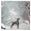 Suche nach weimaraner fliesen Welpe