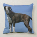 Recherche de brindle coussins Headshot