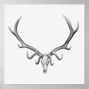 Recherche de crâne animal posters Squelette