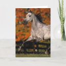 Suche nach raster karten Foto