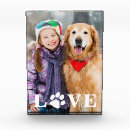 Recherche de amour de chat maison deco Chien