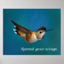 Recherche de birding posters Observation d'oiseau
