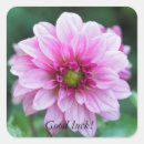 Suche nach botanische kunst aufkleber Rosa