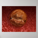 Suche nach entwicklung poster Wissenschaft